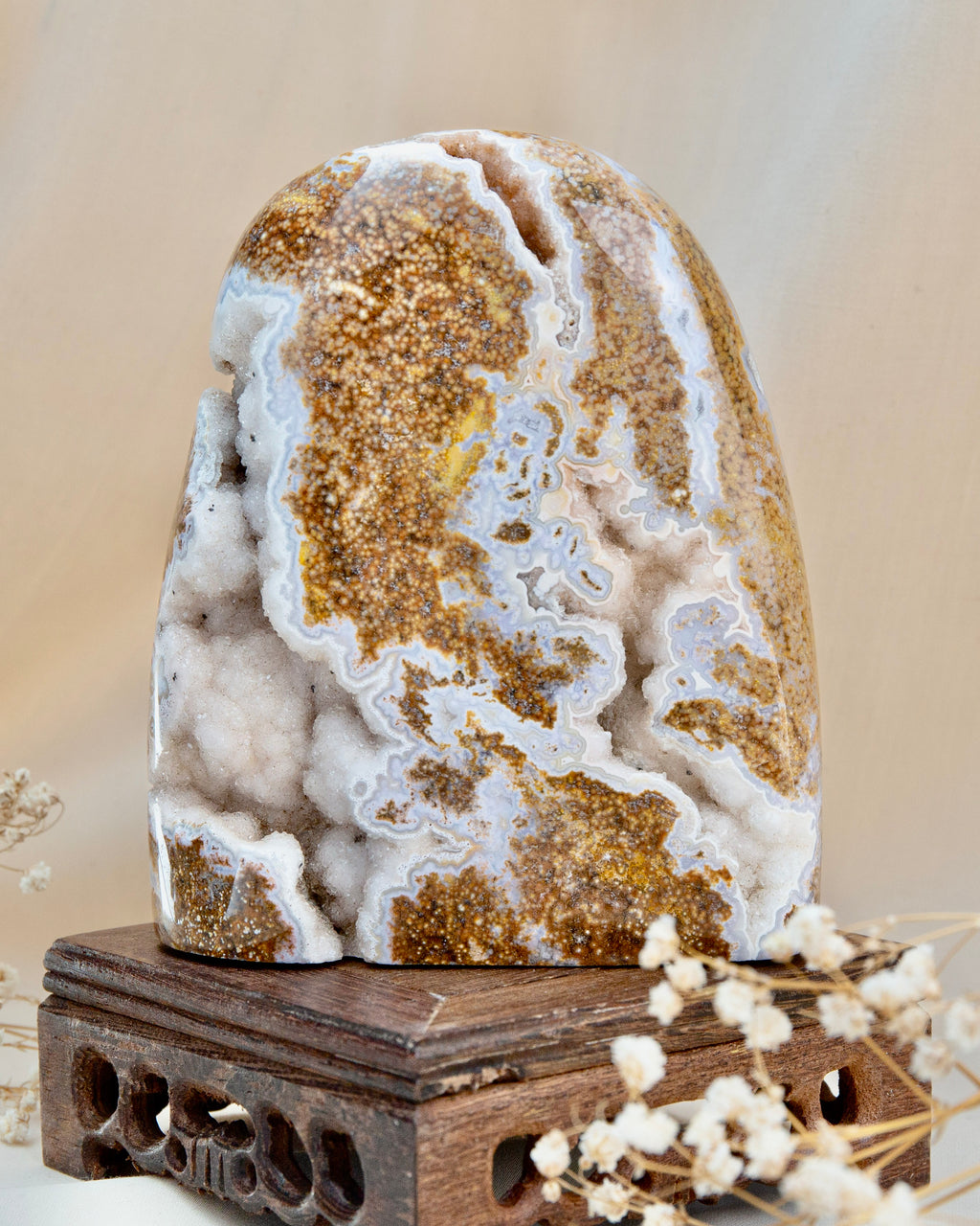 Ocean Jasper