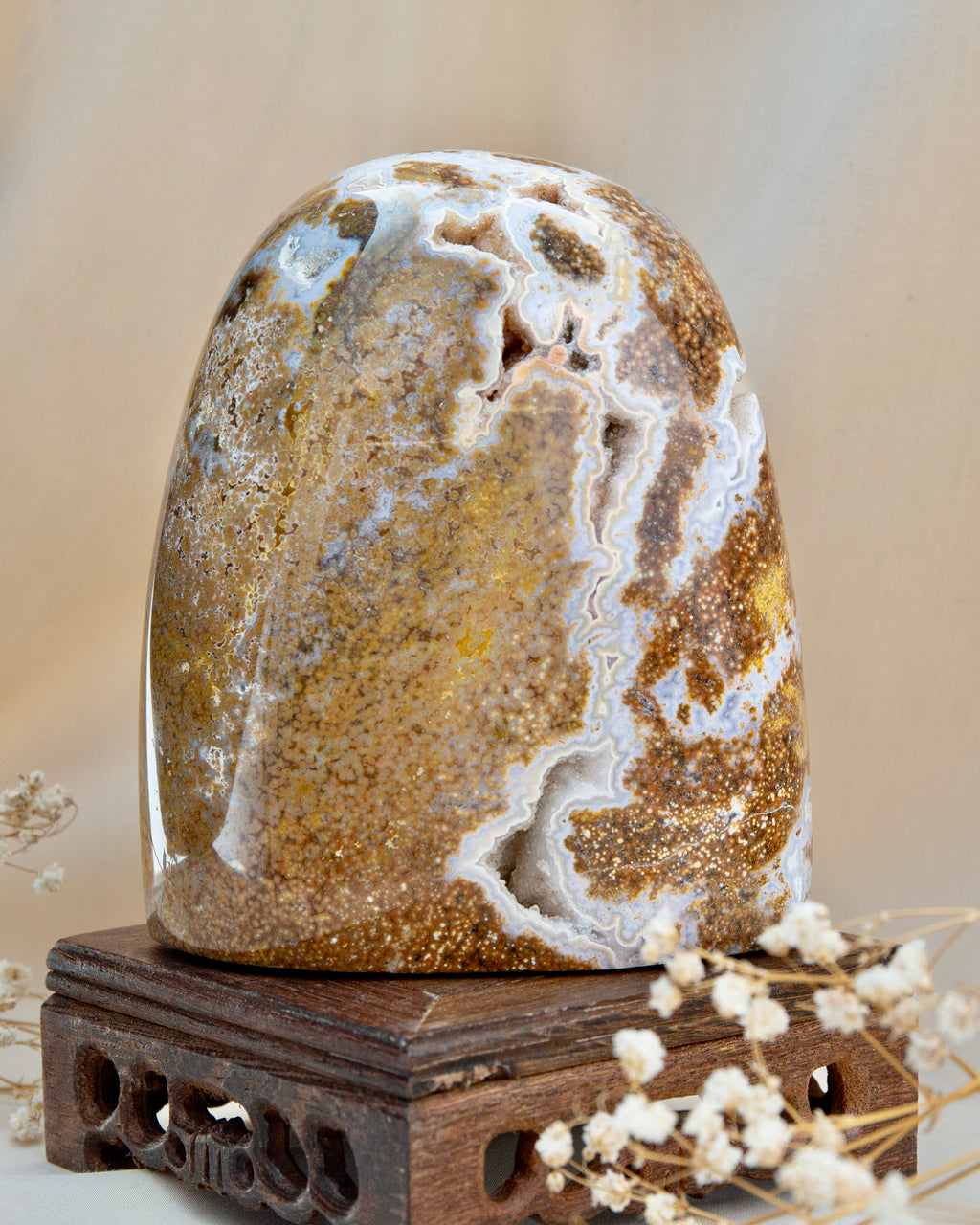 Ocean Jasper