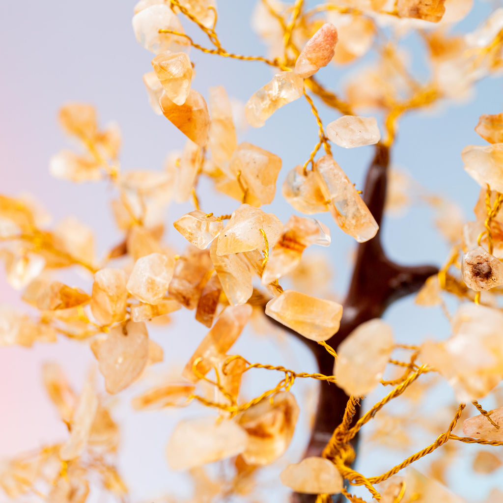 Citrine Crystal Tree - 23cm