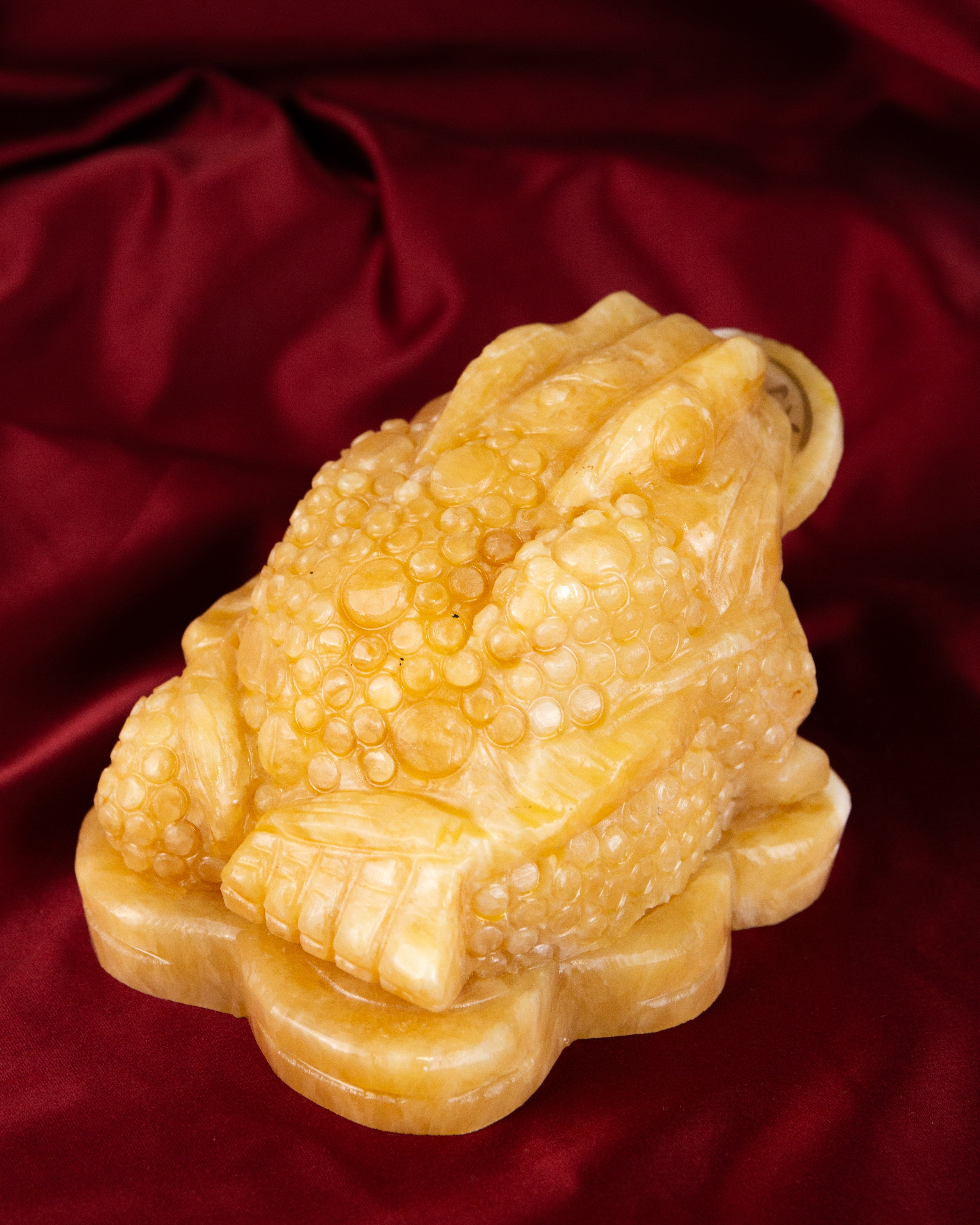 Pénzbéka Faragvány /