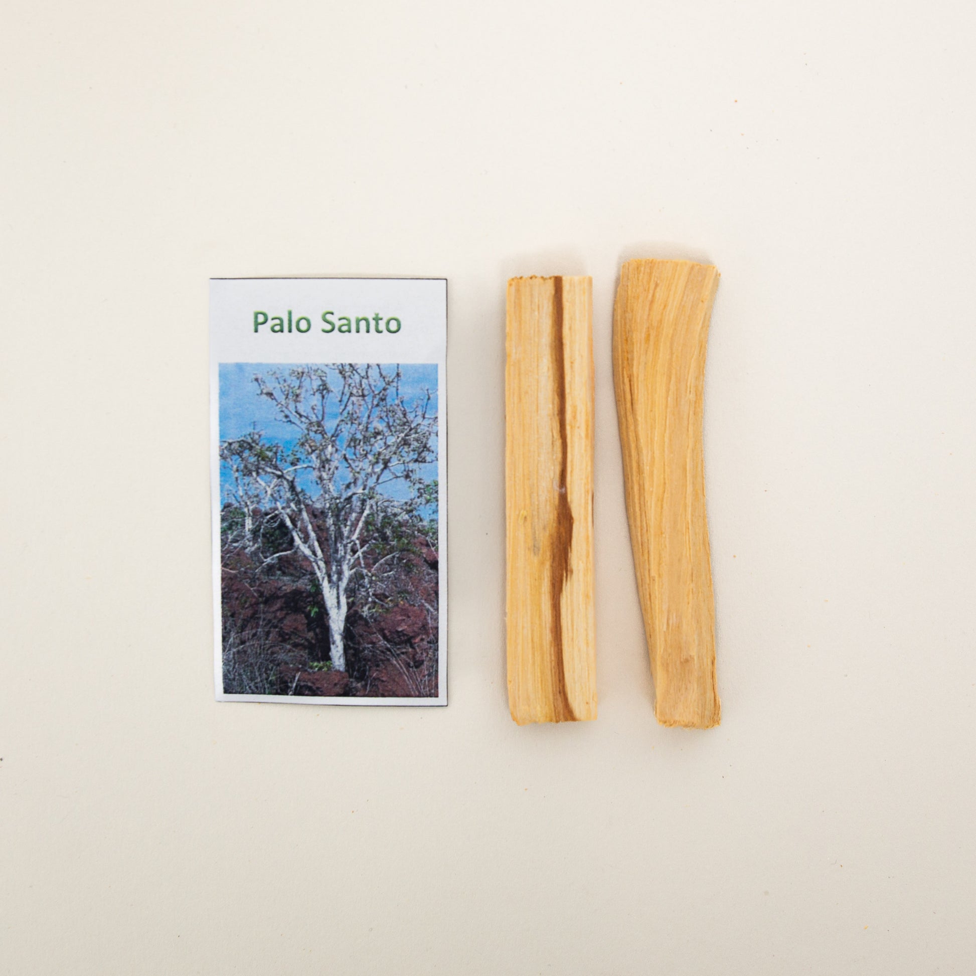 Palo Santo 