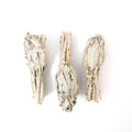 White Sage 1pc