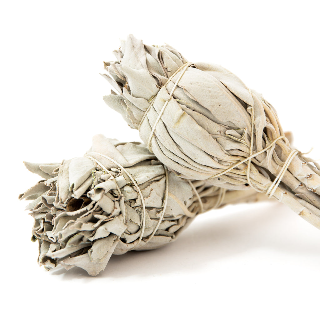 White Sage 1pc