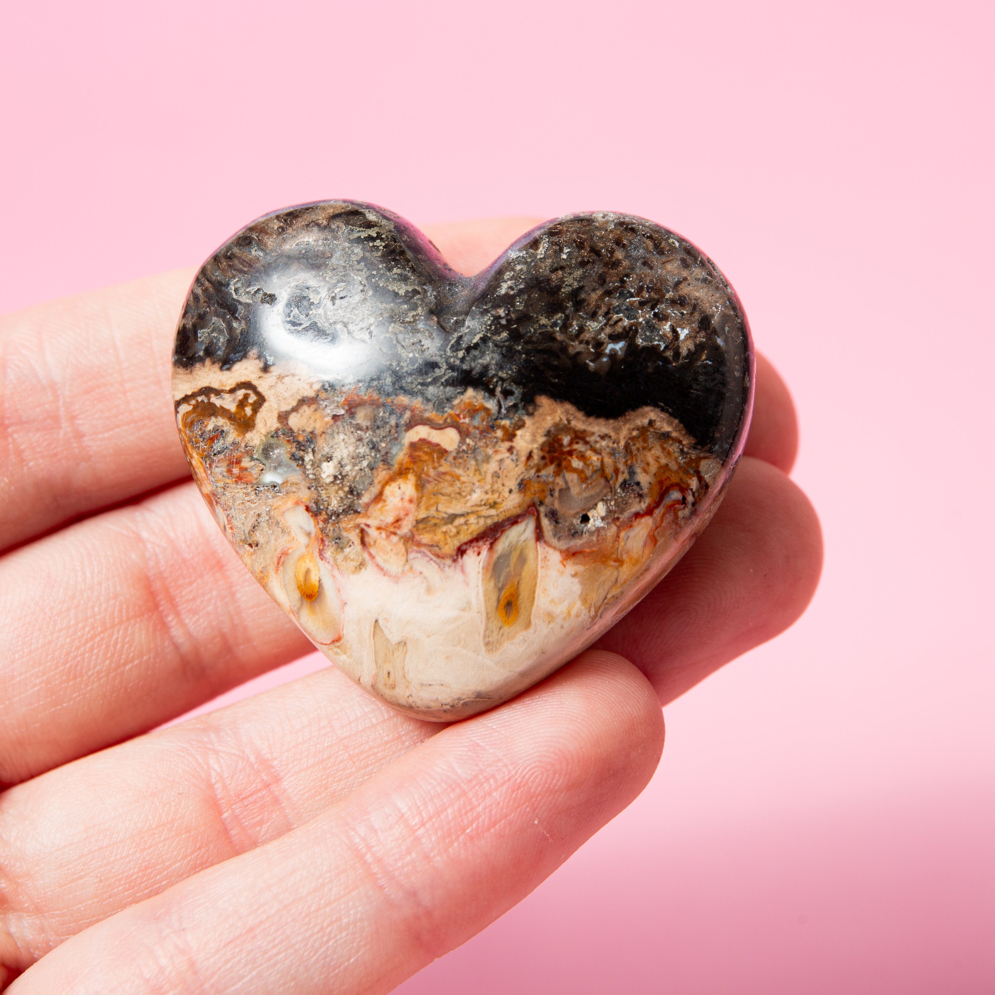 Pálmagyökér (Fosszília) Szív - 4,5 cm/42 g