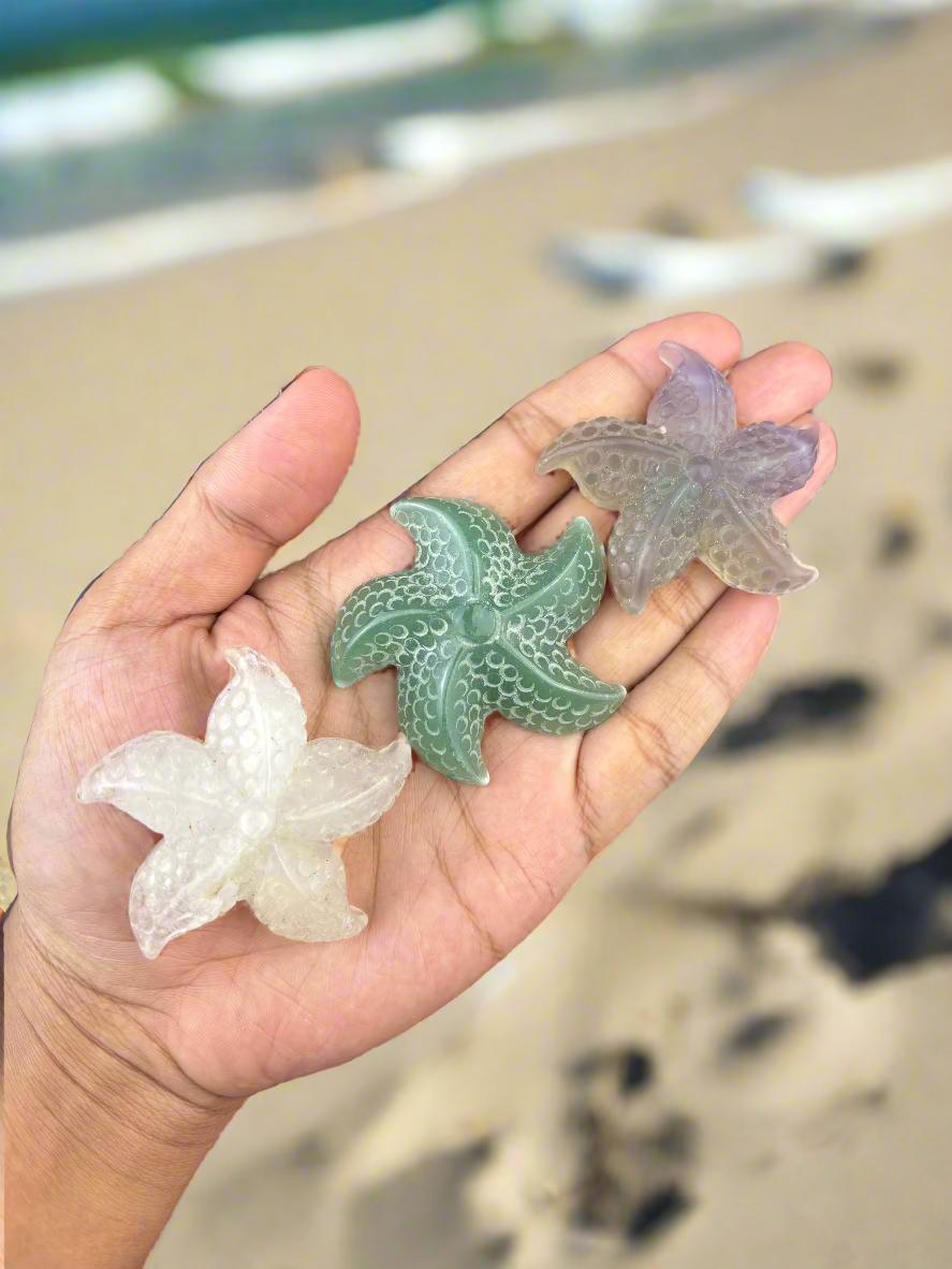 Tengericsillagok 5.5cm