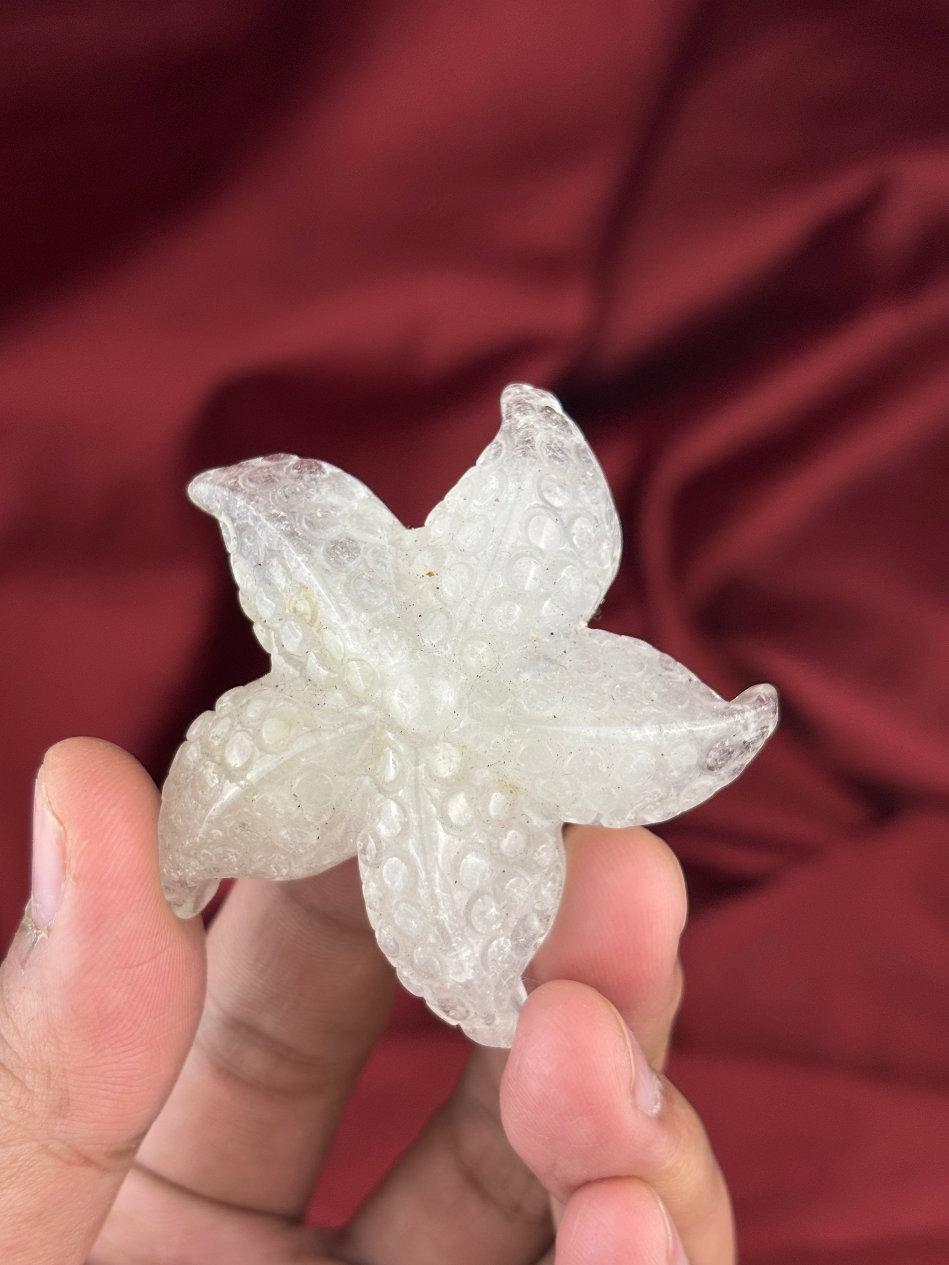 Tengericsillagok 5.5cm