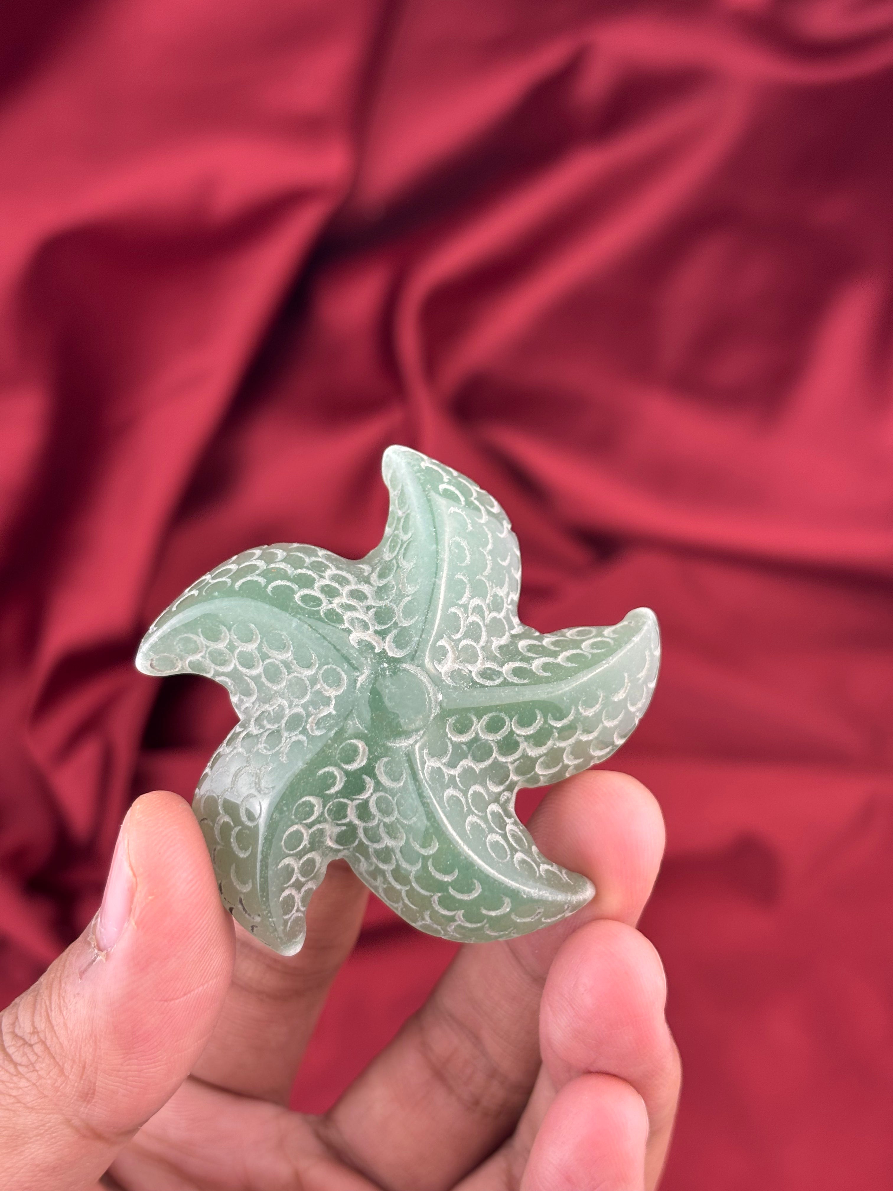 Tengericsillagok 5.5cm