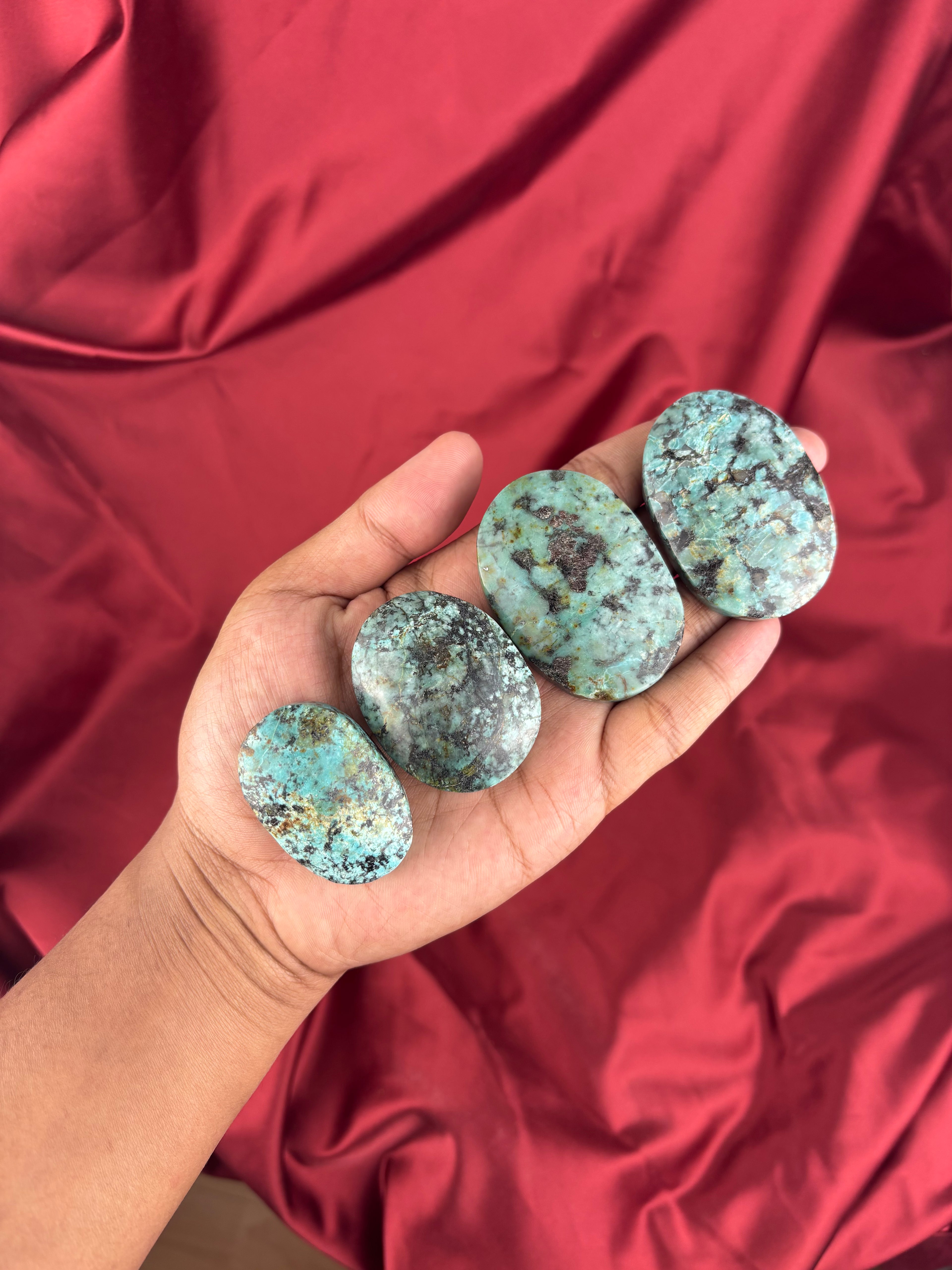 Afrikai Türkiz (Turquit) 1Db