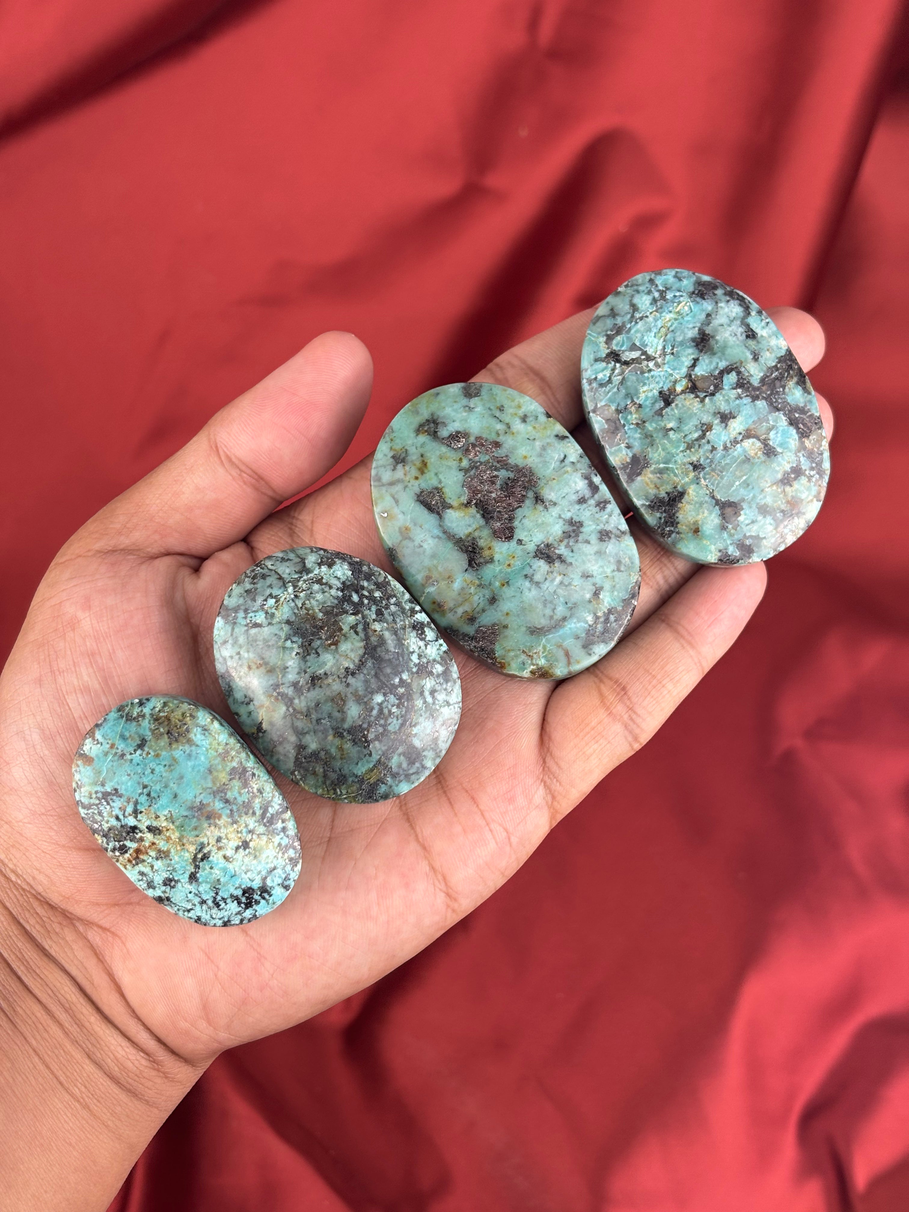 Afrikai Türkiz (Turquit) 1Db