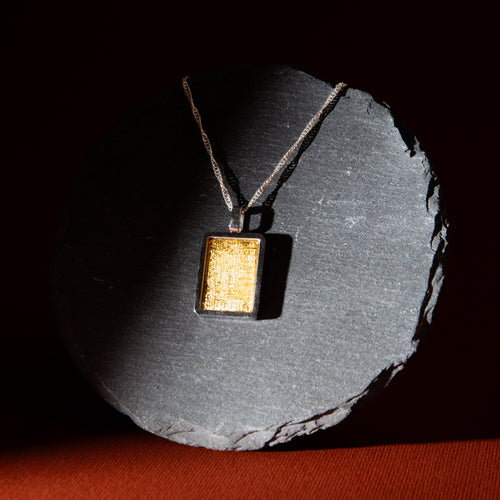 Pallasite Meteorite with Altai Meteorite - A1