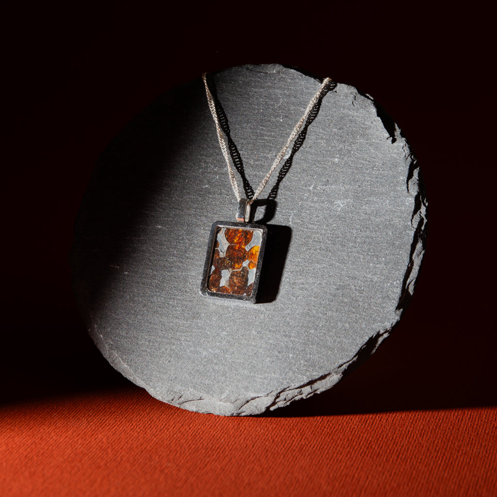 Pallasit Meteorit & Altaji Meteorit - A1