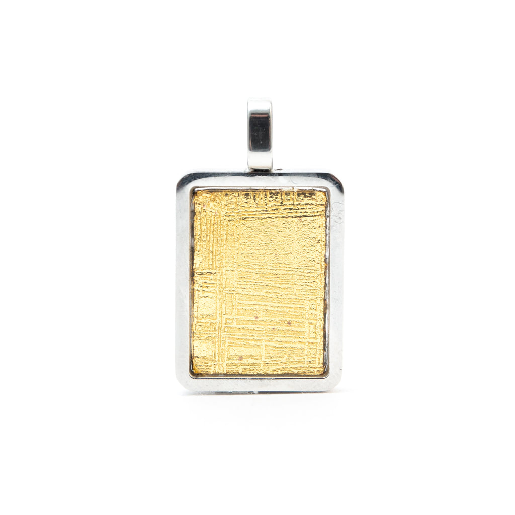 Pallasit Meteorit & Altaji Meteorit - B1