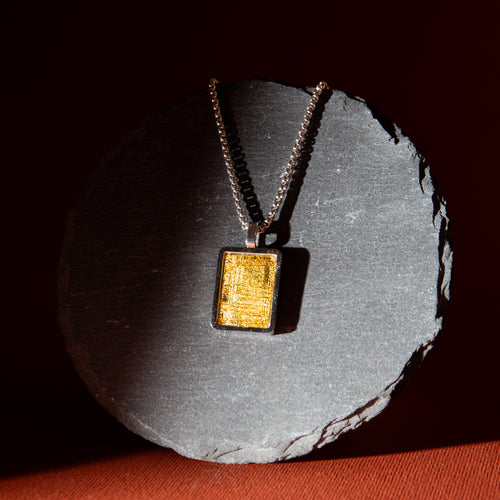 Pallasite Meteorite with Altai Meteorite - B1