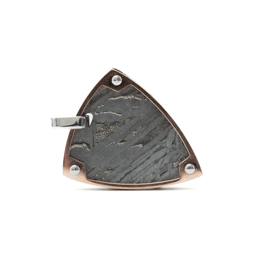 Altai Meteorite - P2A