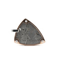 Altai Meteorite - P2D