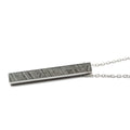 Altai Meteorite with Chain 30cm- P3B