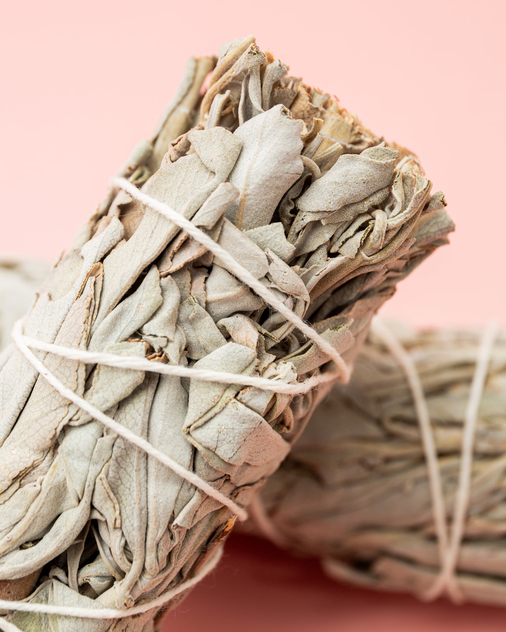 White Sage 1pc