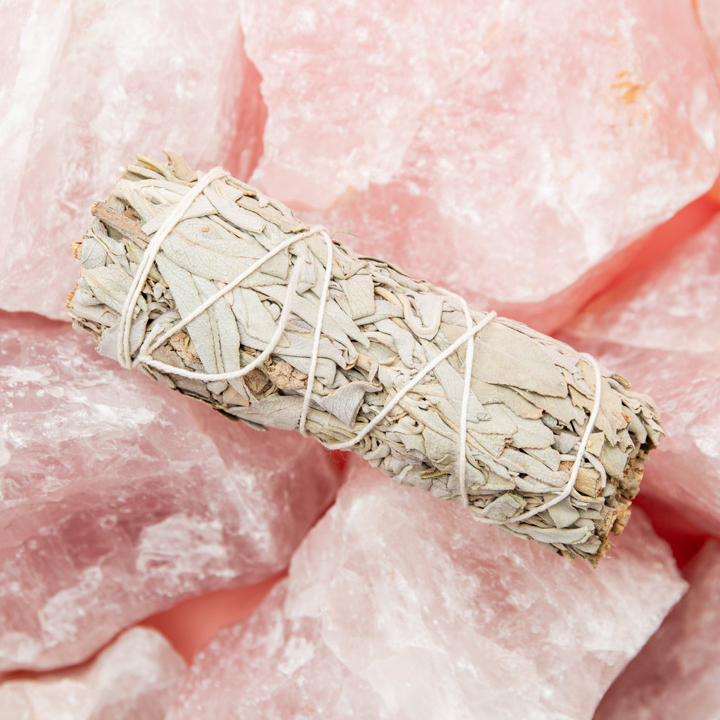 White Sage 1pc