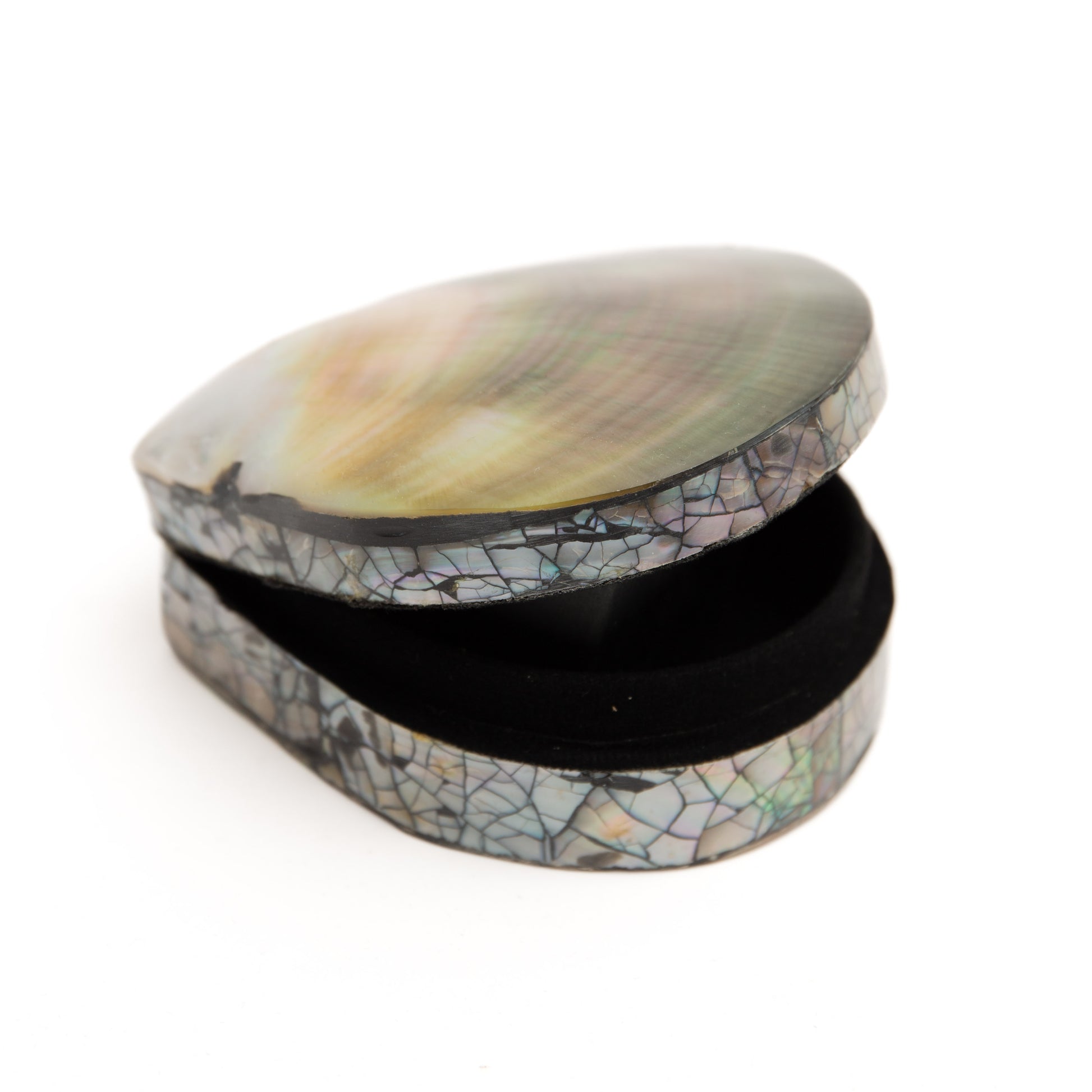 Shell Box from Indonesia