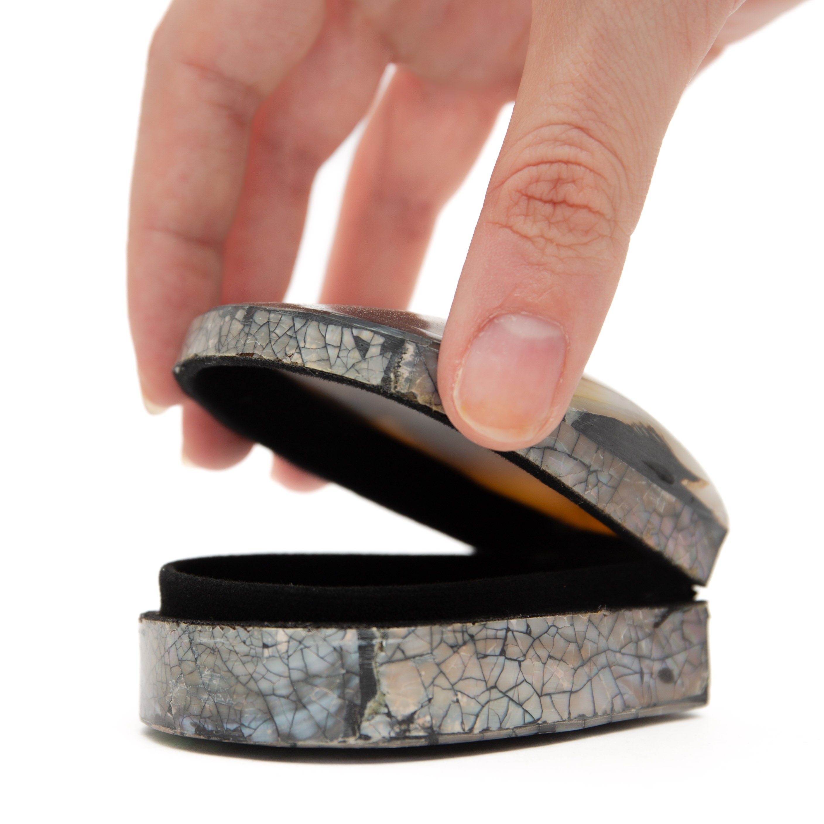 Shell Box from Indonesia