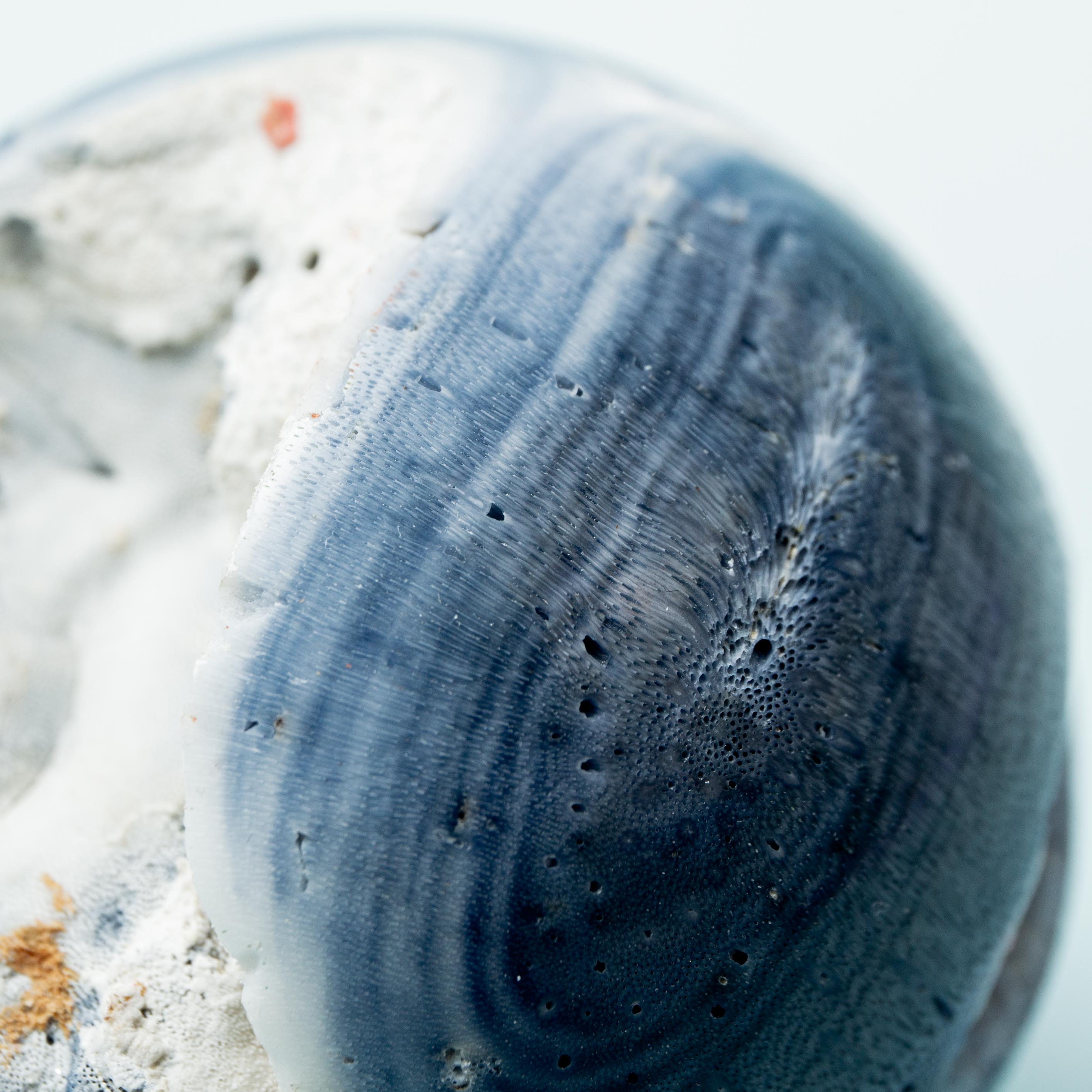 Blue Coral Sphere - 60mm/228g