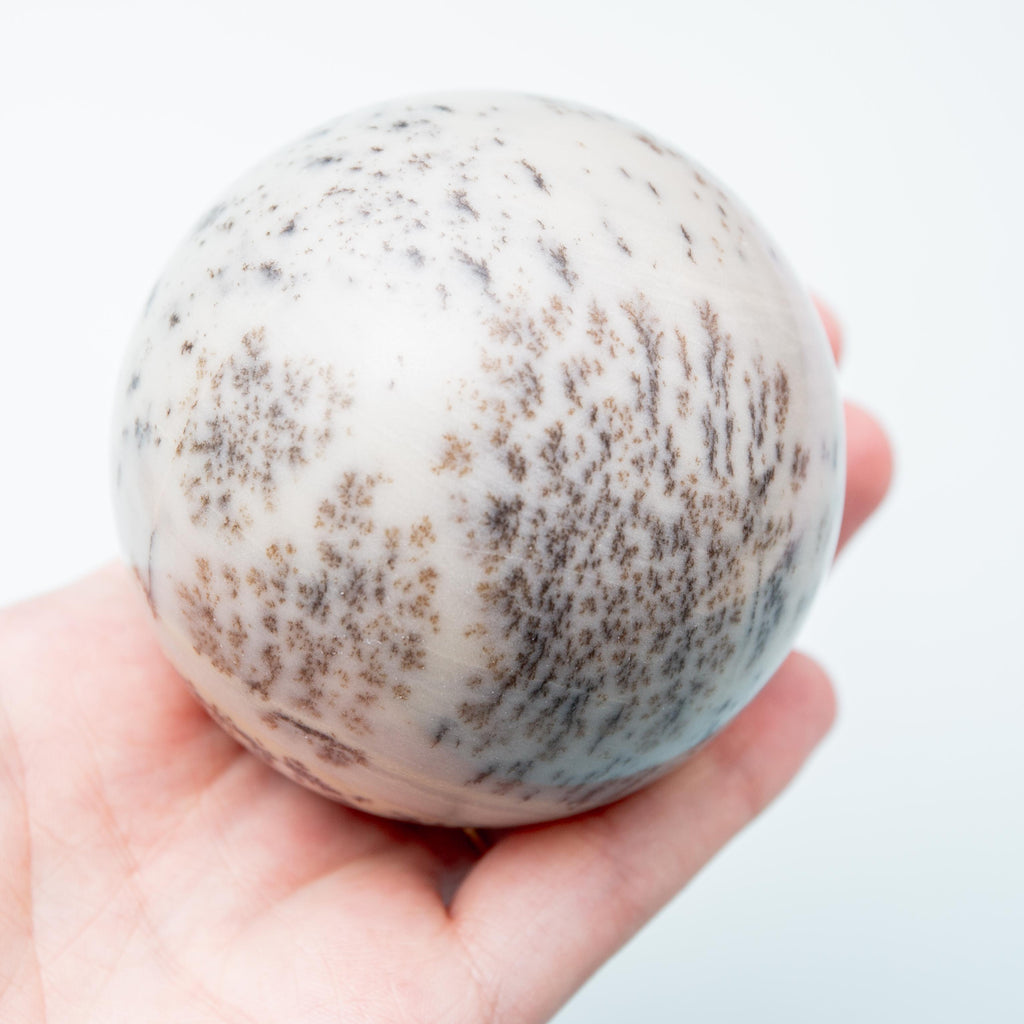Dendritic Opal Sphere - 69 mm 481 gr — photo 3