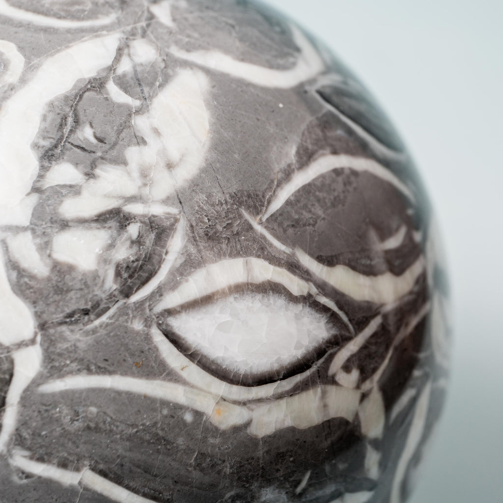 Shell Jasper Sphere - 120 mm 4972 gr — photo 2