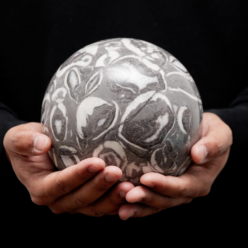 Shell Jasper Sphere - 120 mm 4972 gr — photo 3