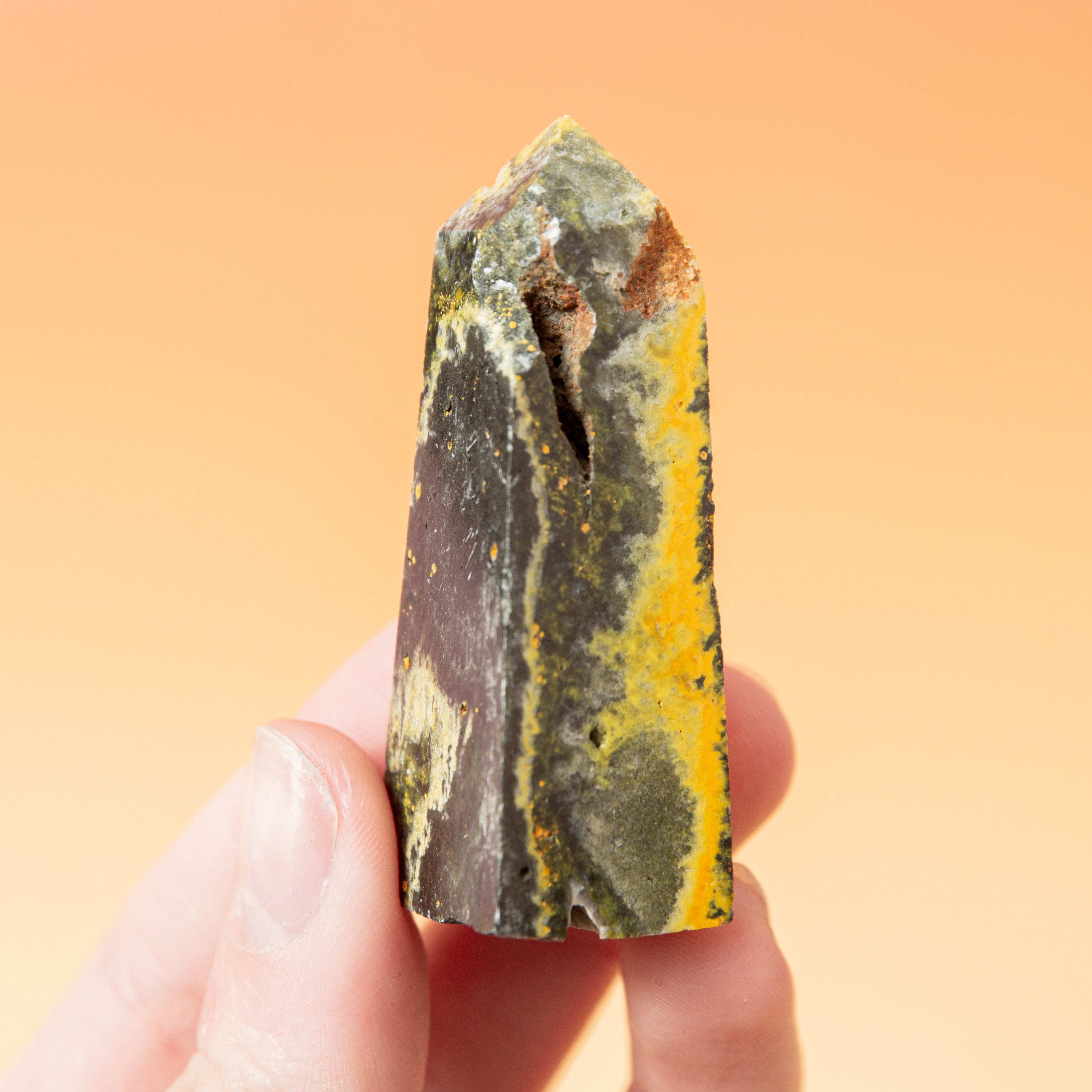 Bumblebee Jasper Tower - 5.8cm (E)