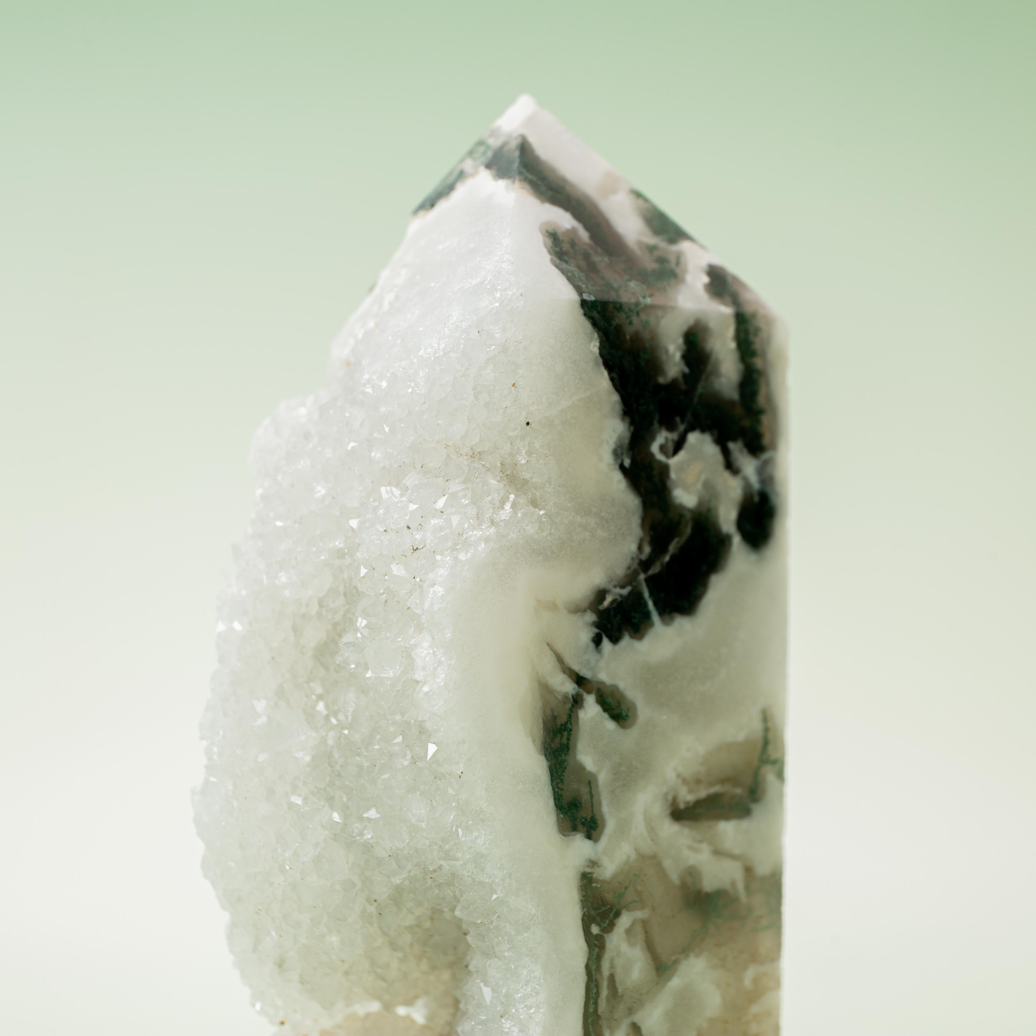 Tree Agate Druzy Tower - 151g/9cm (A)