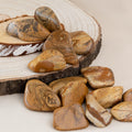 Tumble stone - Picture Jasper 3-4cm