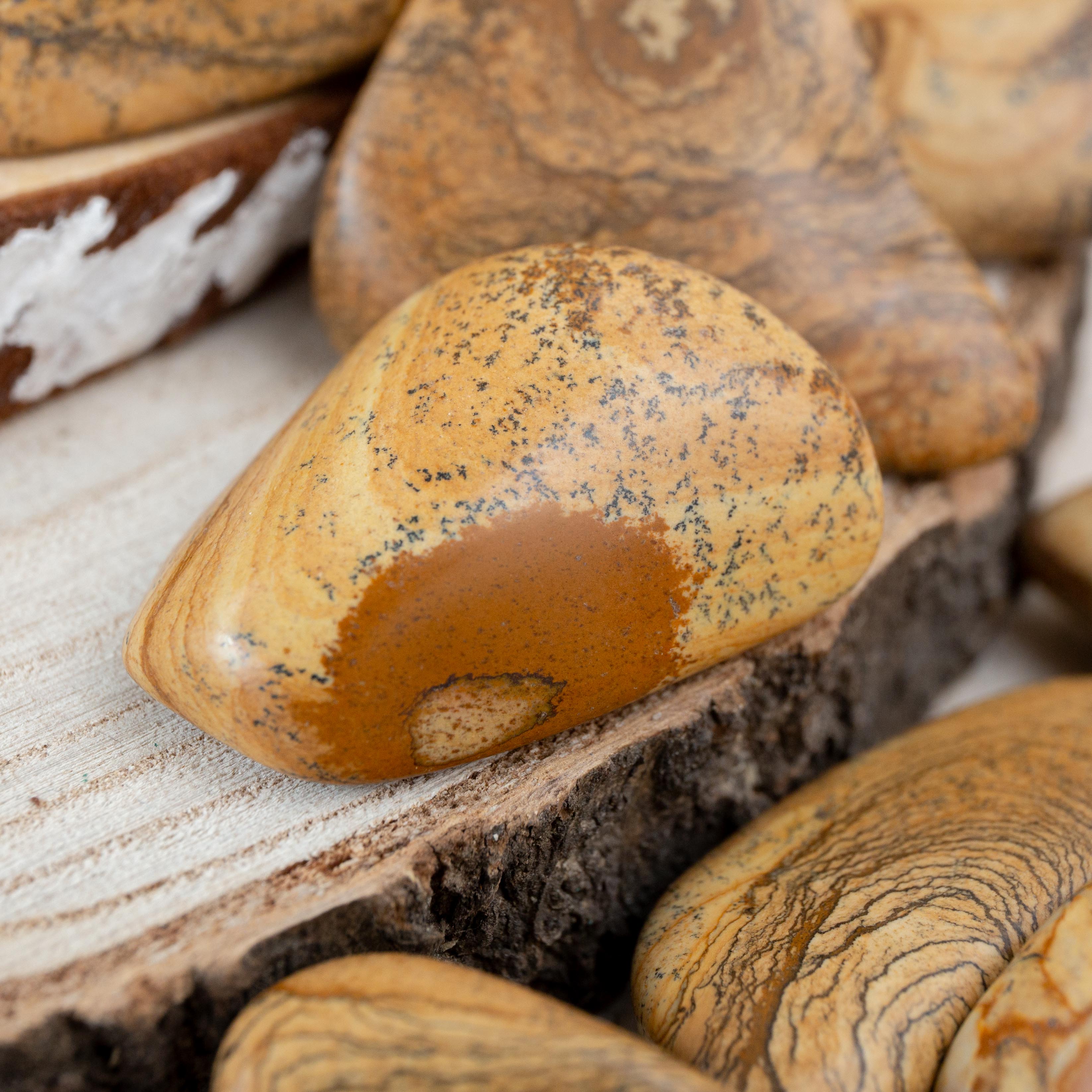 Tumble stone - Picture Jasper 3-4cm