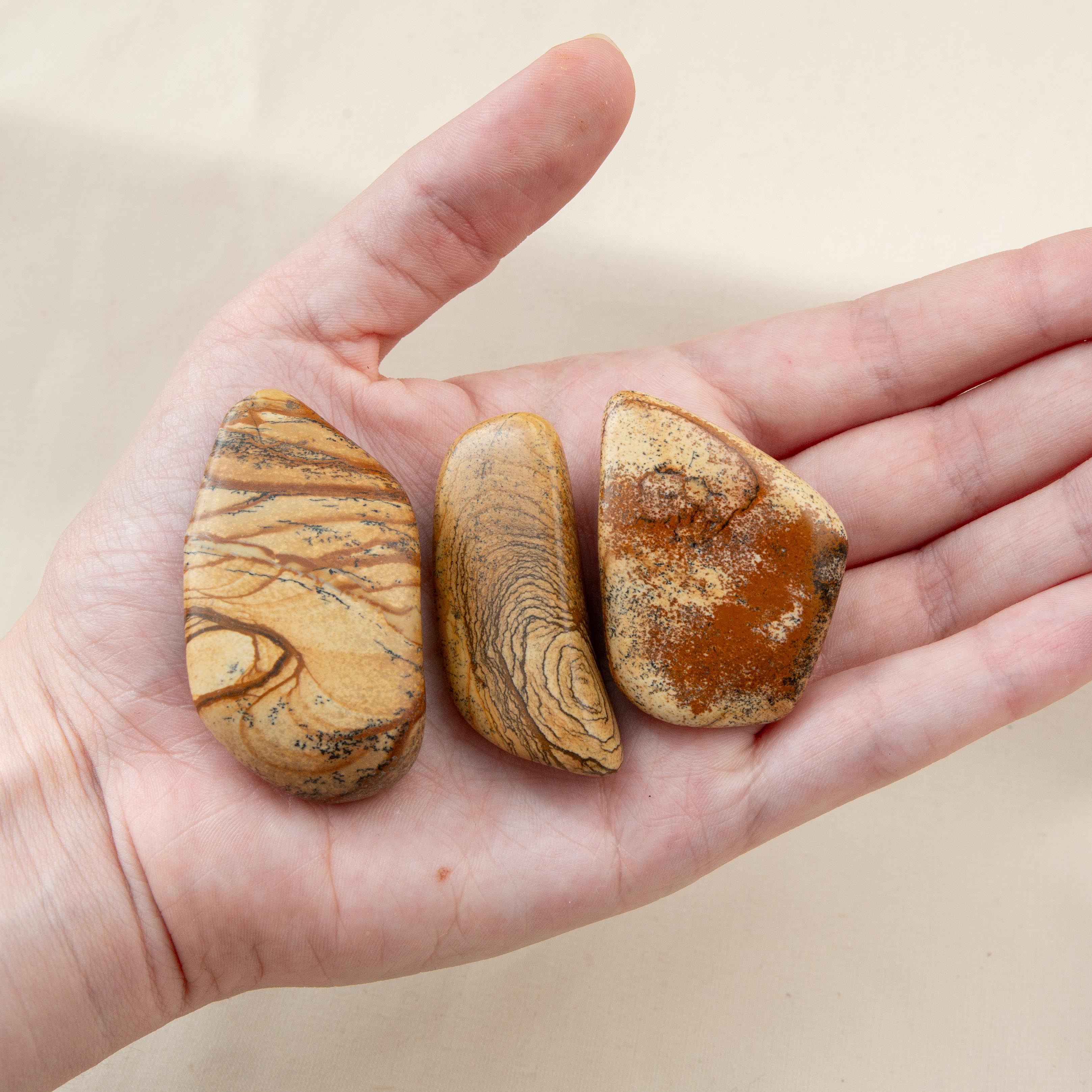 Tumble stone - Picture Jasper 3-4cm