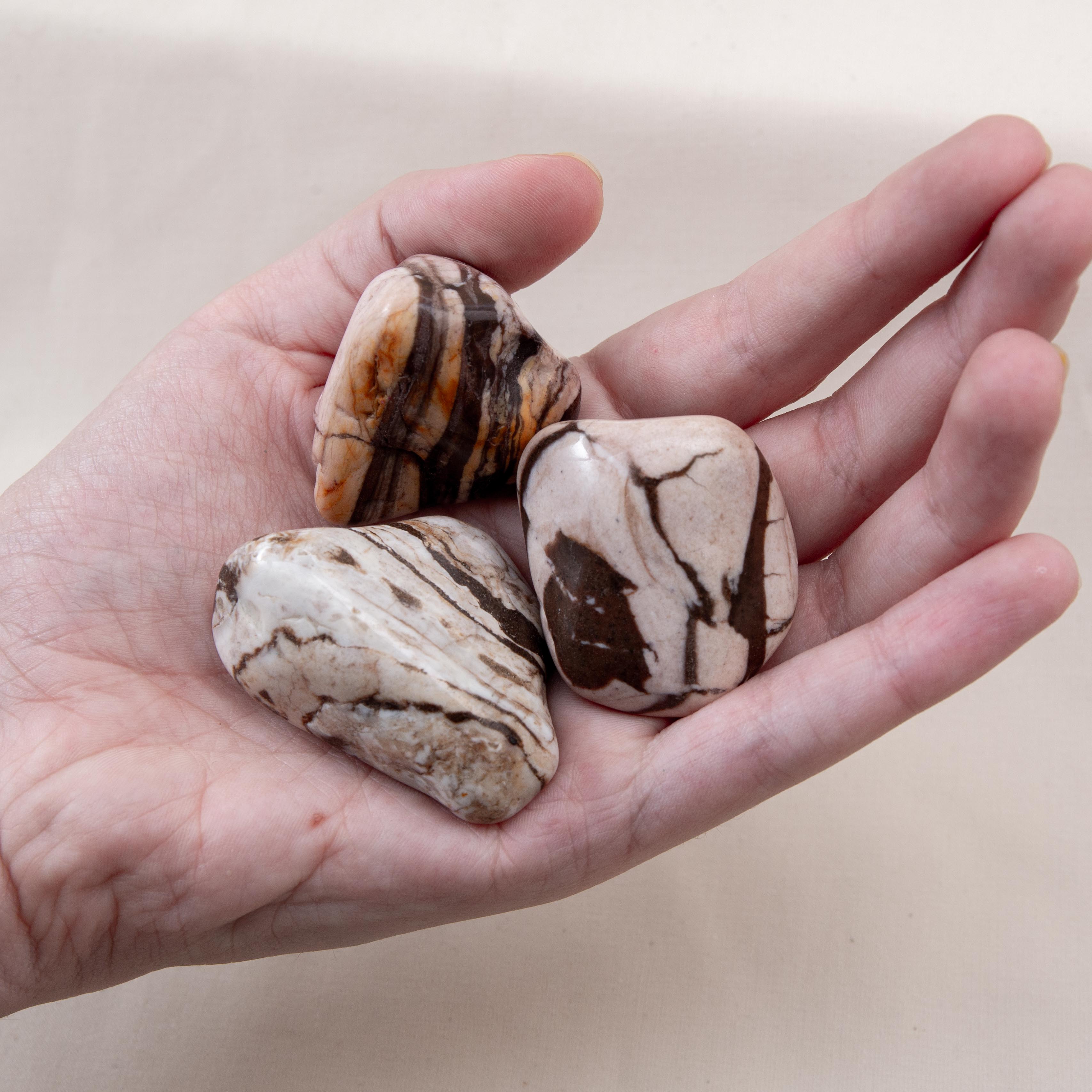 Tumble stone - Cappuccino Jasper 3-5cm