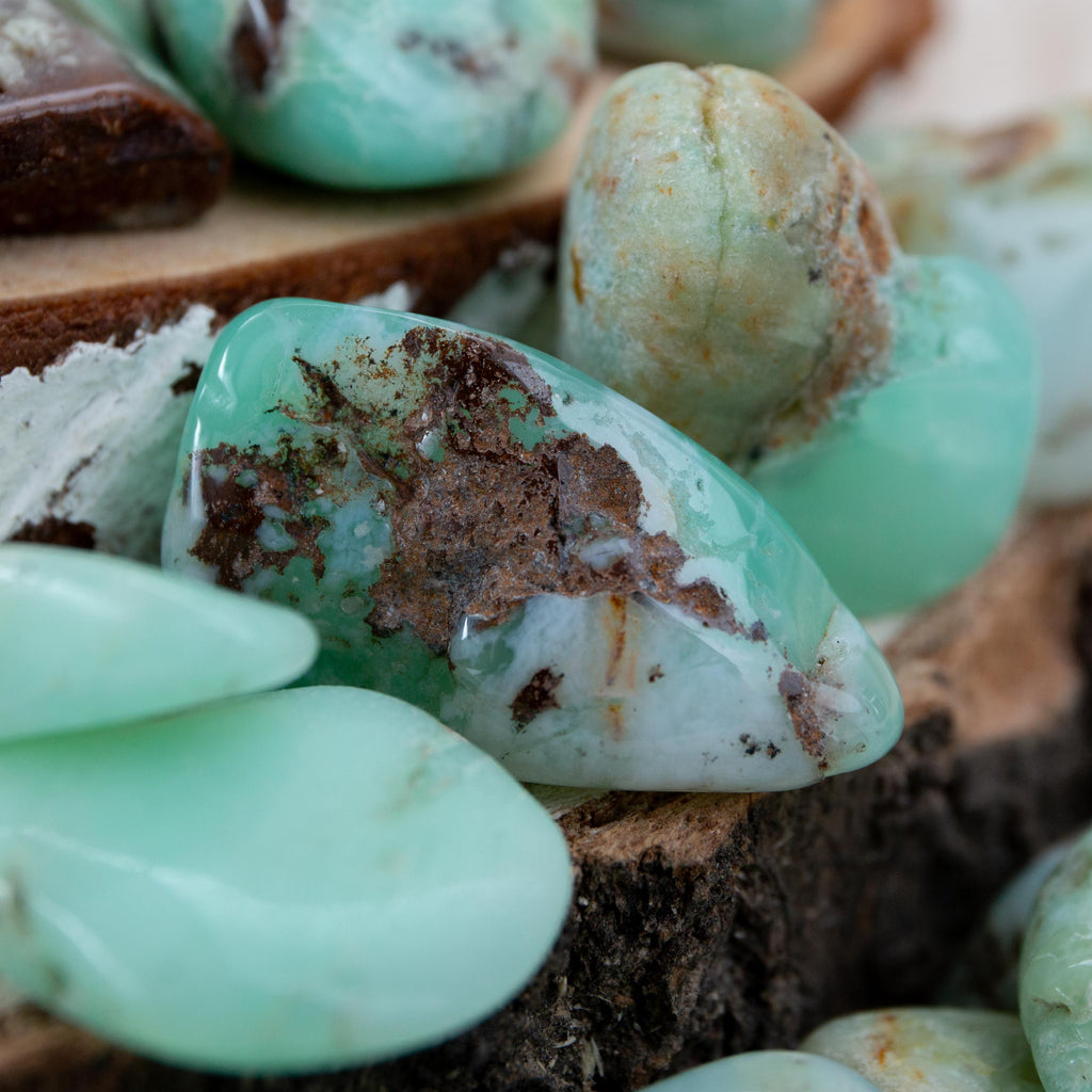 Tumble Stone - Chrysoprase 1.5-2cm