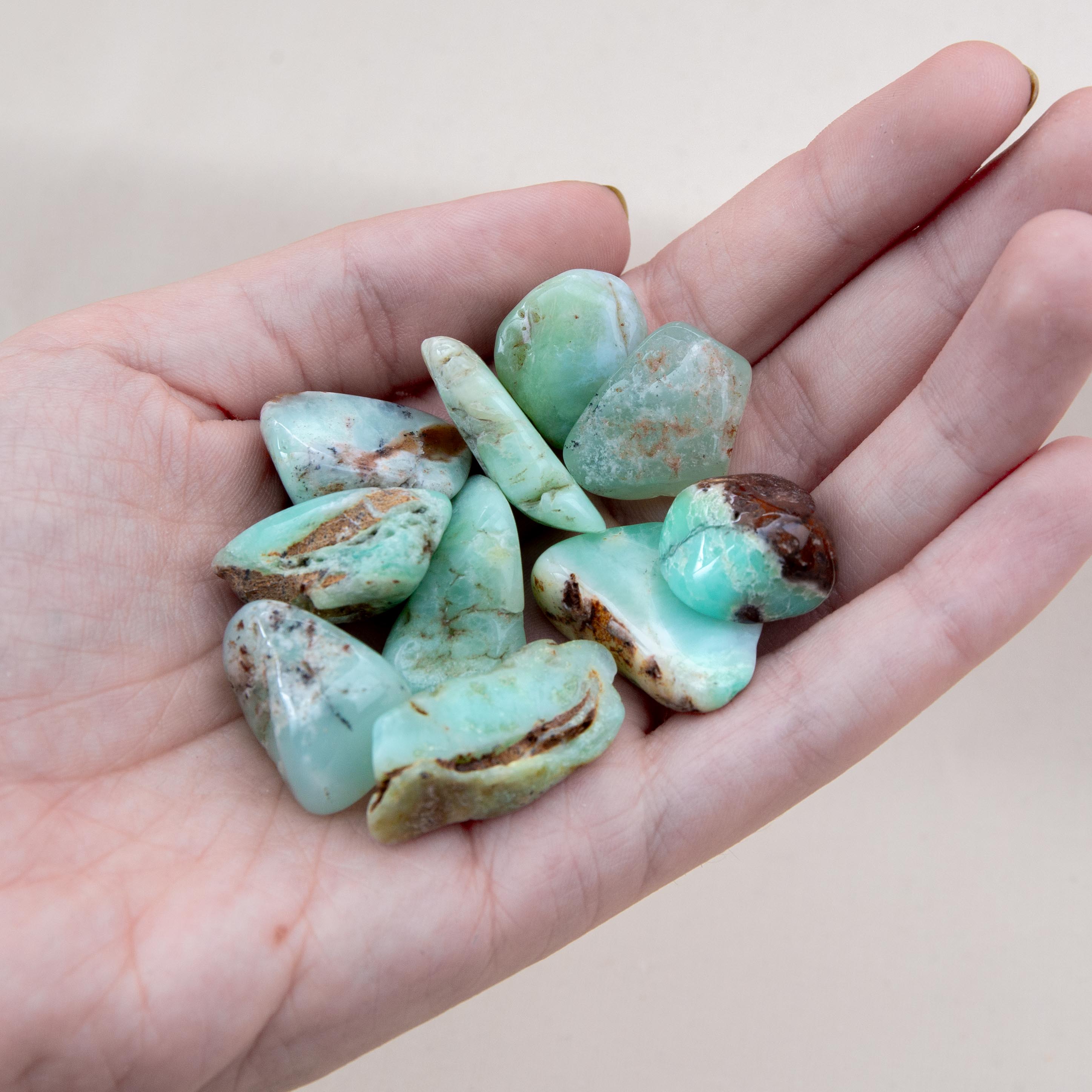 Tumble Stone - Chrysoprase 1.5-2cm