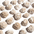 Desert Rose - 2.5-3cm