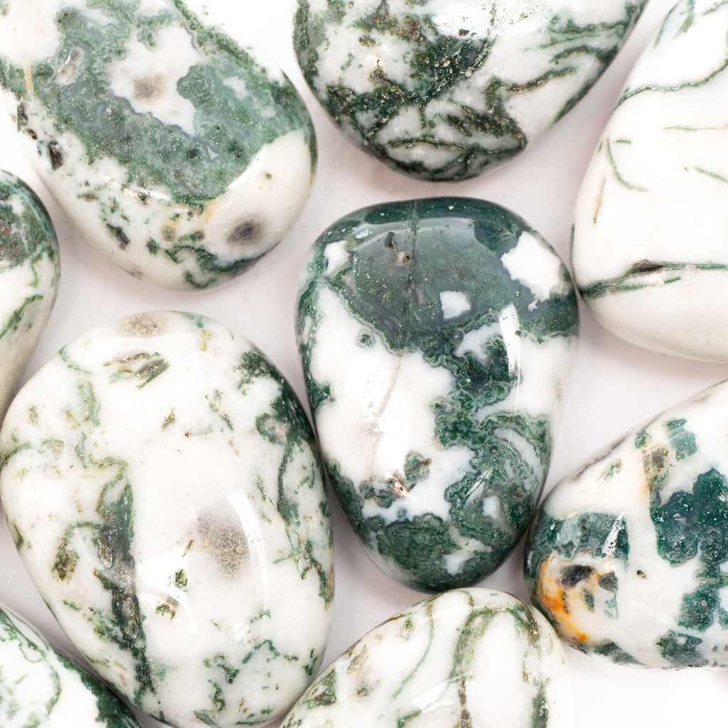 Tree Agate Tumble Stone- 3cm
