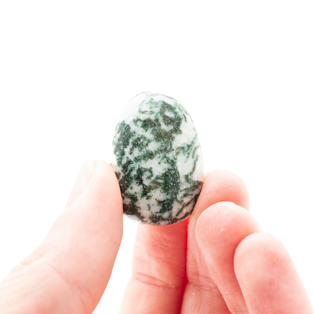 Tree Agate Tumble Stone- 3cm