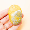 Bumblebee Jasper Tumble Stone - 75g/6cm (E)
