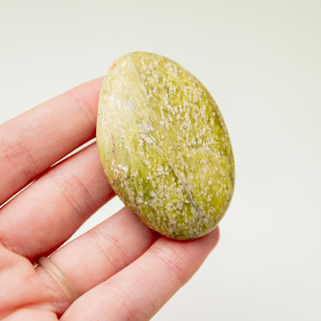 Serpentine Palm Stone - 5cm (M)