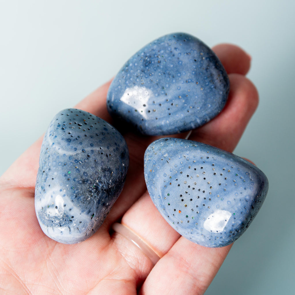 Blue Coral (Indonesia) Tumblestone -