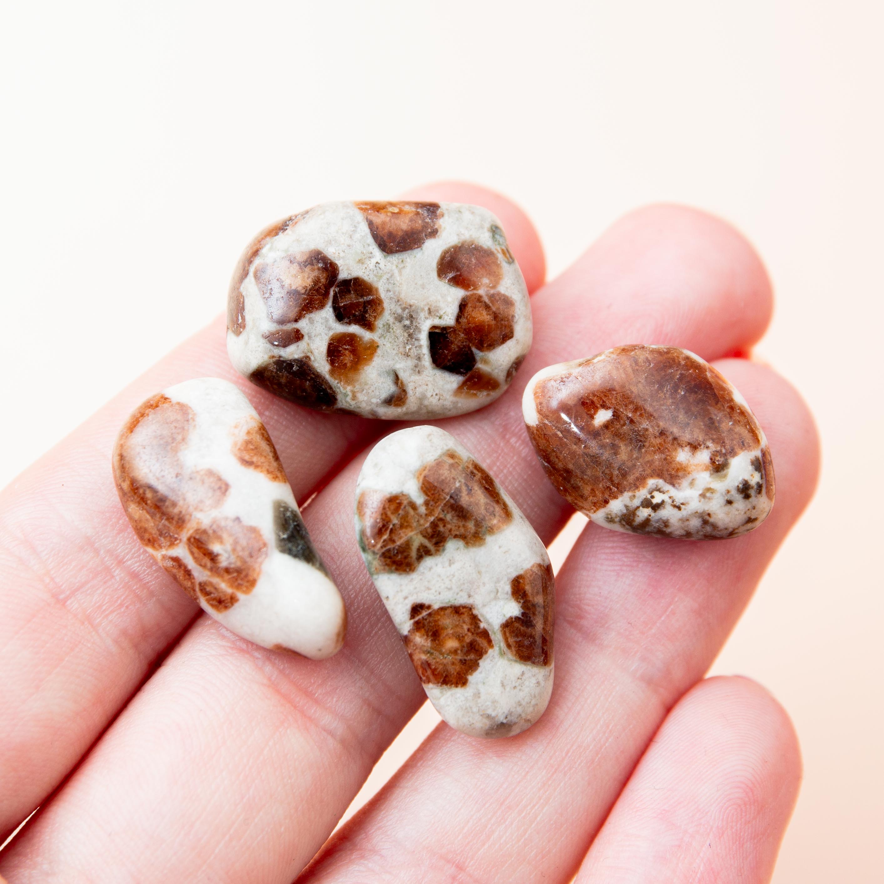 Wollastonite with Garnet Tumblestone - 1-2cm