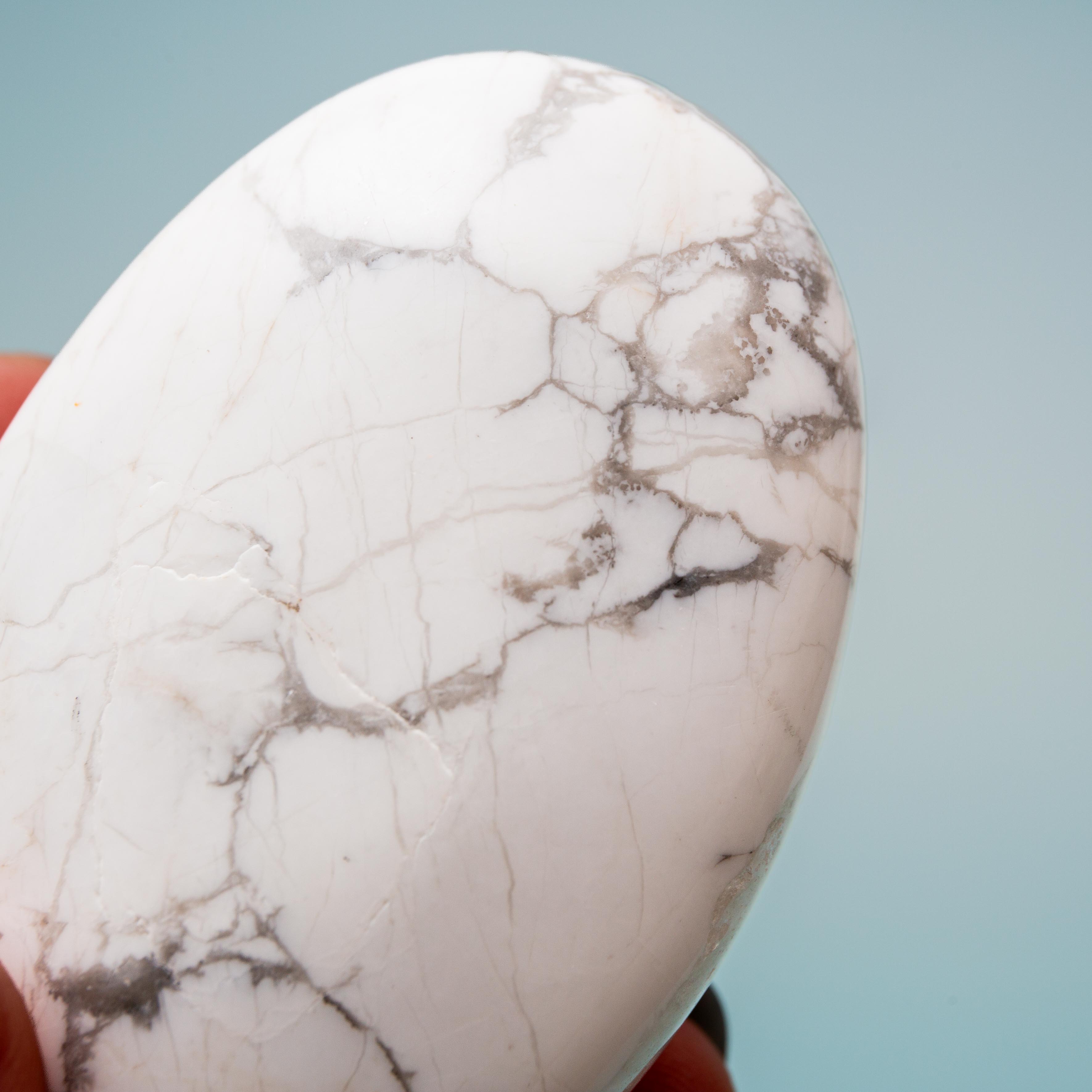 Howlit - 6cm (A)