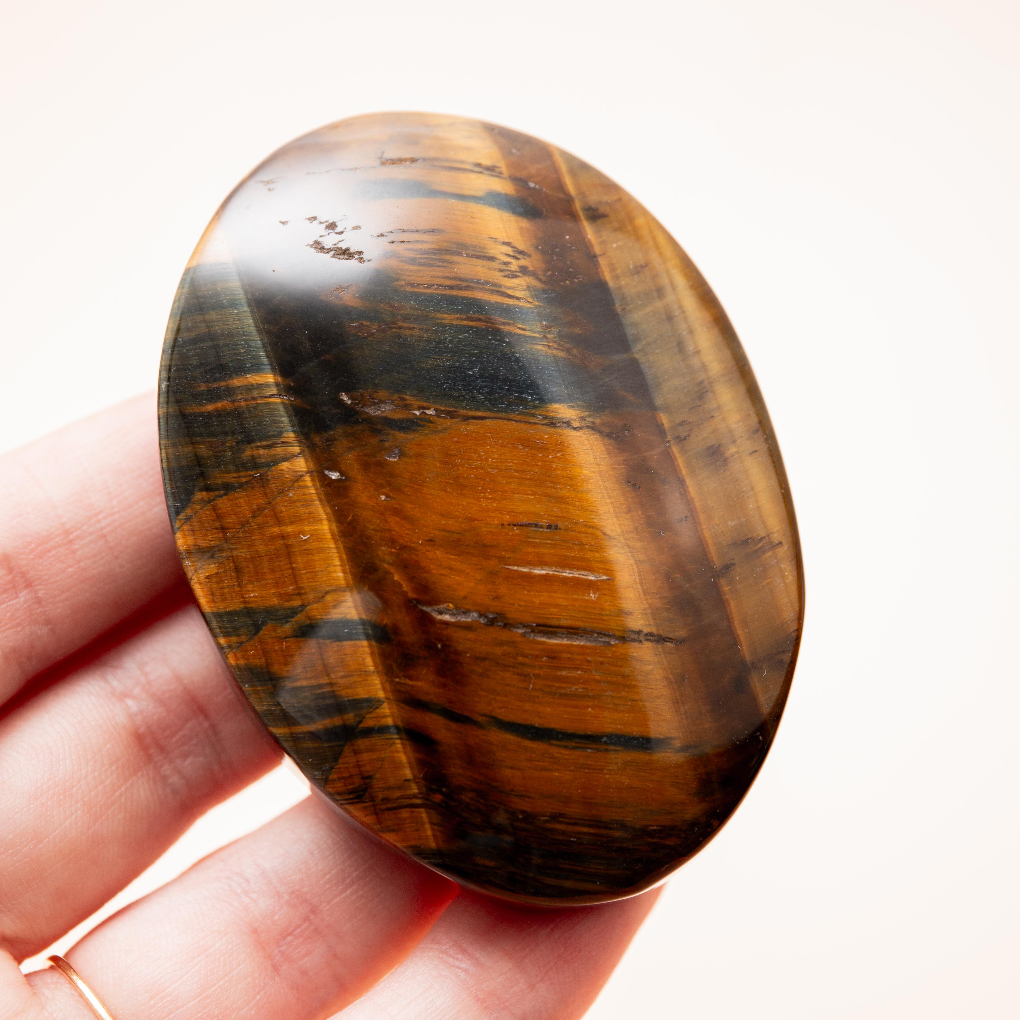 Falcon Eye - 6.5cm (A)