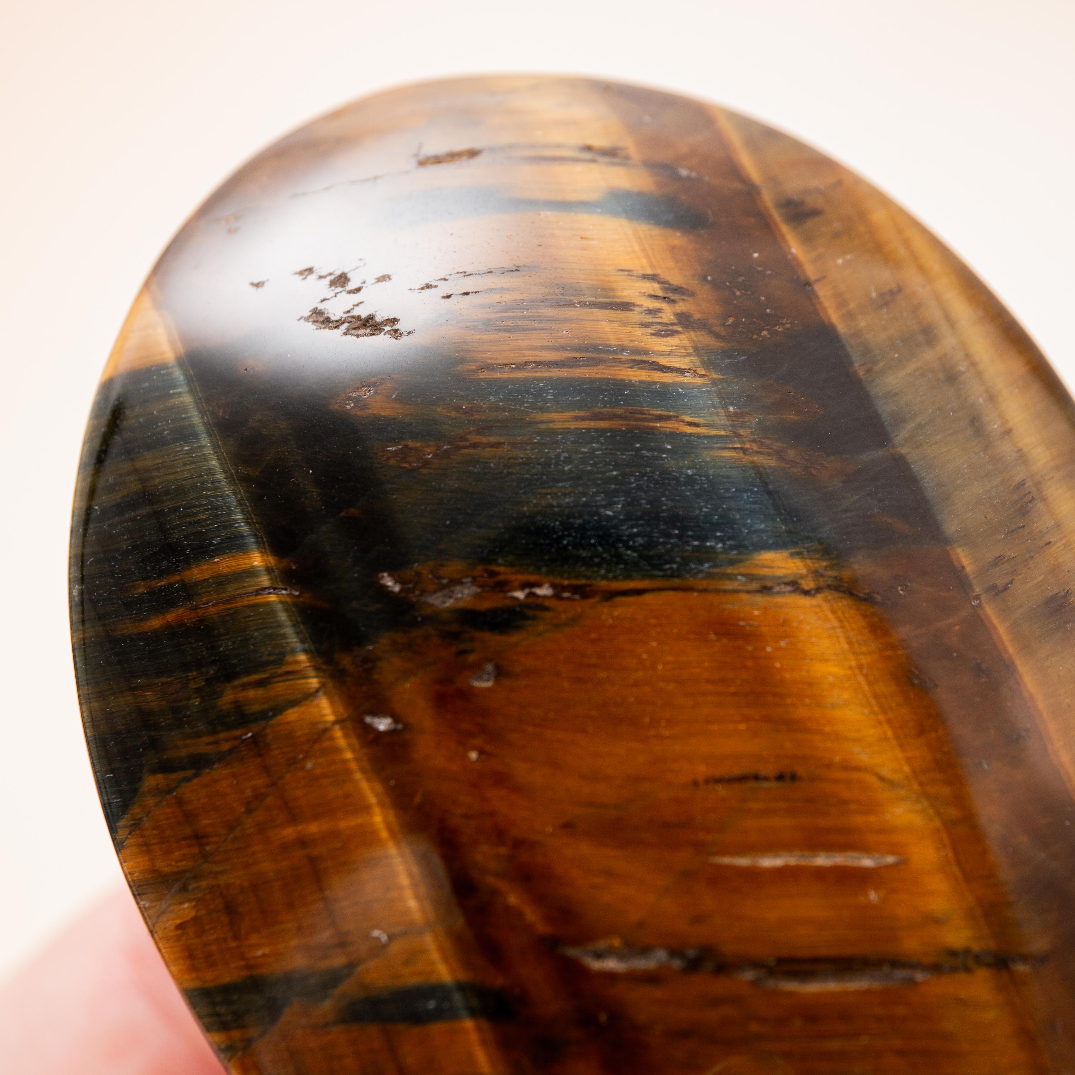 Falcon Eye - 6.5cm (A)