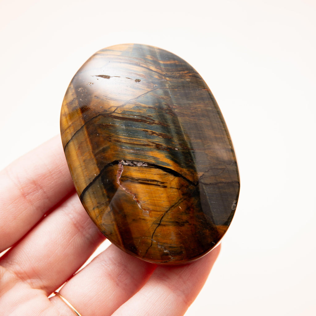 Falcon Eye - 6.5cm (B)