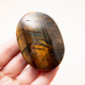 Falcon Eye - 6.5cm (B)