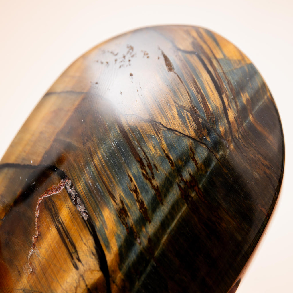 Falcon Eye - 6.5cm (B)
