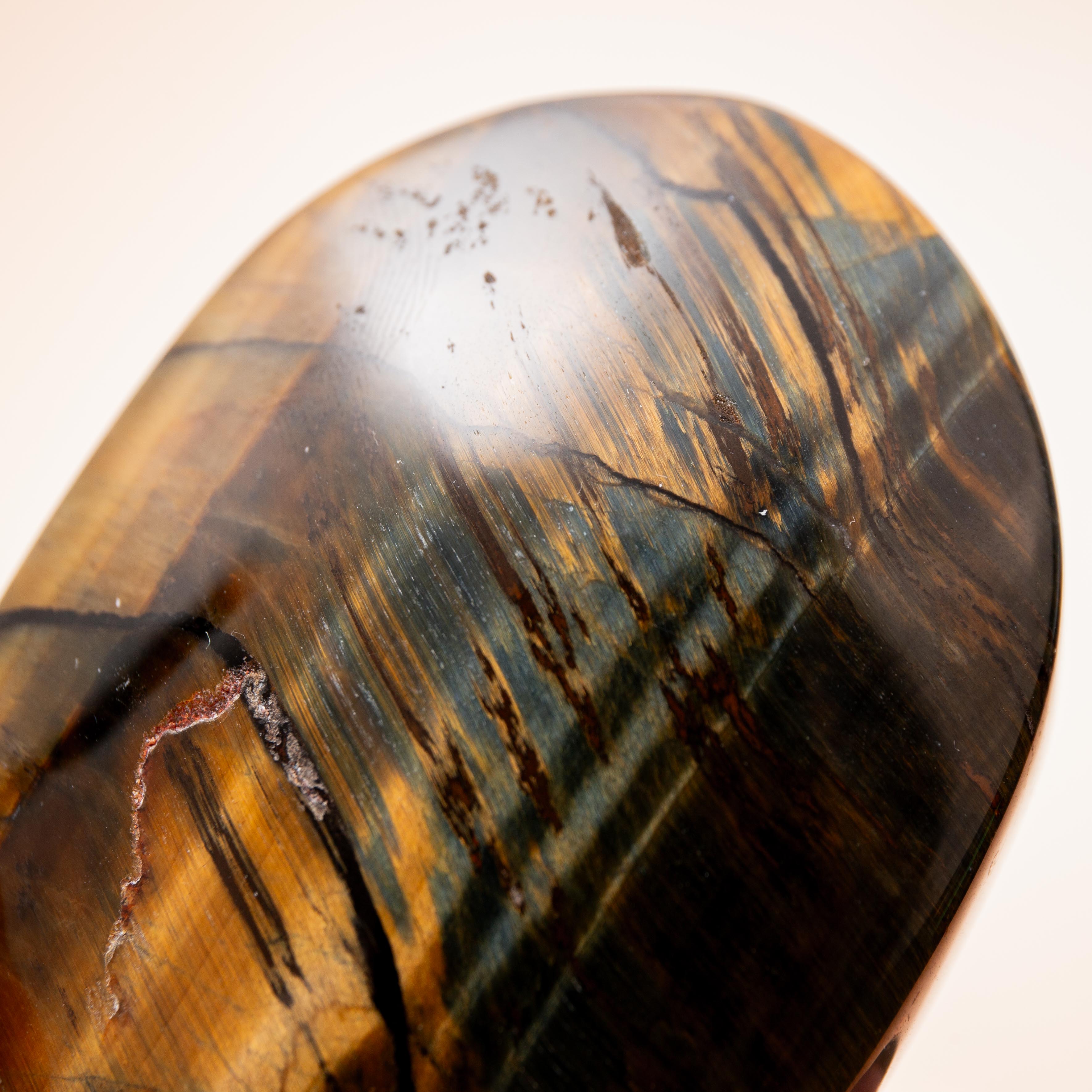 Falcon Eye - 6.5cm (B)